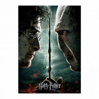 Harry Potter Puzzle Harry vs Voldemort