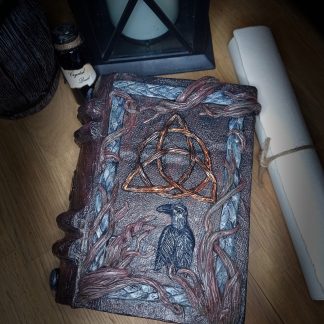 Boîte livre inspiration viking celtique / fait main