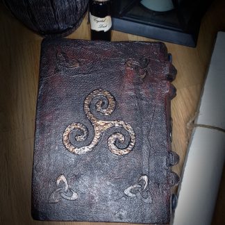 Boîte livre inspiration viking celtique / fait main