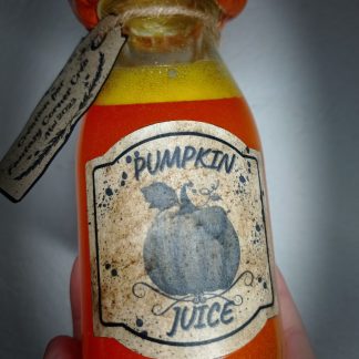 Potion Pumpkin Juice création artisanale - Création par Fantasy Corner