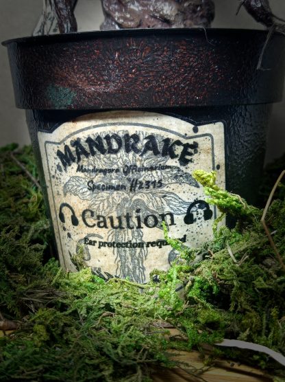 Sculpture Mandragore dans son pot inspiration Harry Potter - Création par Fantasy Corner – Image 9