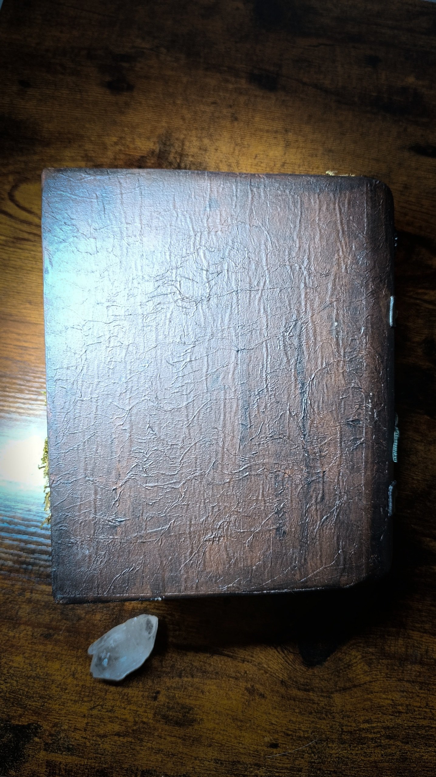 Boîte livre champignons forêt enchantée fait main – Image 8