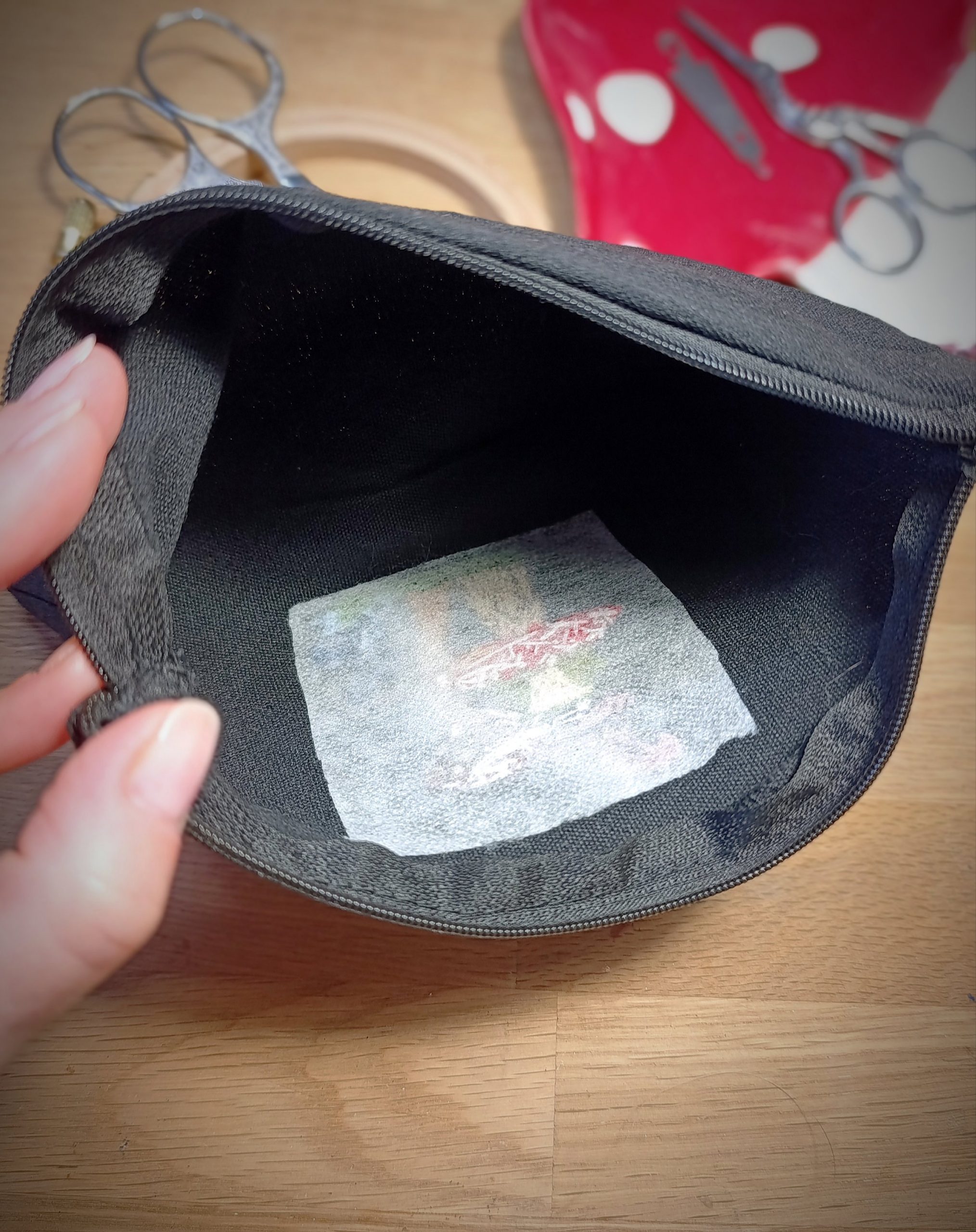 Pochette brodée à la main – Grenouille sorcière et champignons – Image 3